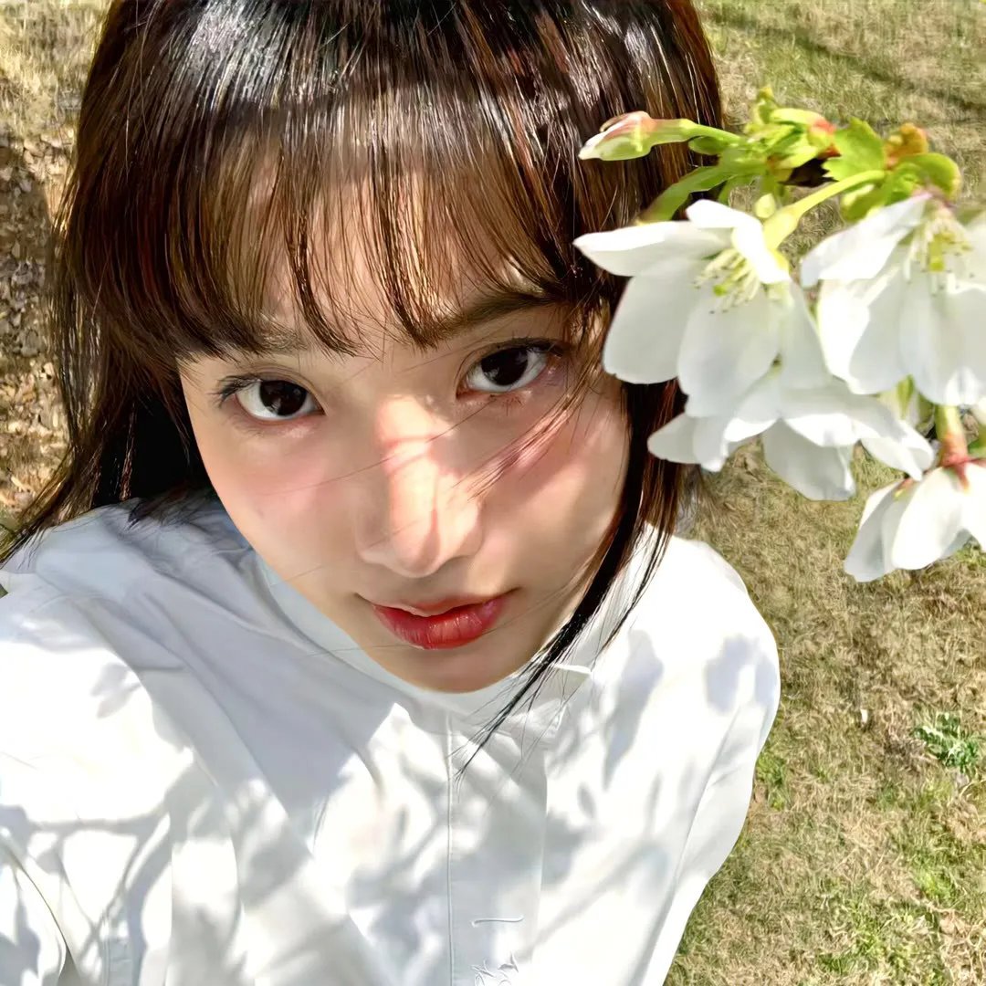 茉迪的彩色小屋
