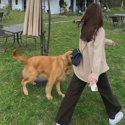 绝望之室